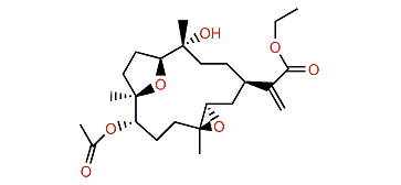 Sinulaflexiolide F